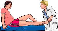 PHYSED2.WMF