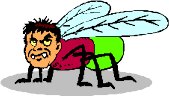 FLY2.WMF