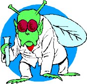 FLY1.WMF