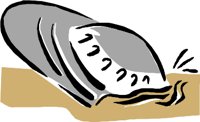 CCM00729.WMF