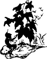 CC002409.WMF