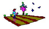 N_F_1365.WMF