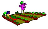 N_F_1364.WMF