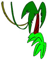 N_F_1162.WMF