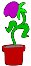 N_F_0453.WMF