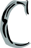 CCM00221.WMF