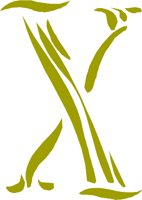 CCM00135.WMF