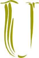 CCM00132.WMF