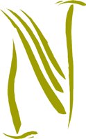 CCM00125.WMF