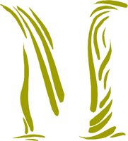 CCM00124.WMF