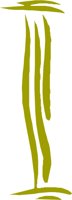 CCM00120.WMF