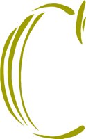 CCM00114.WMF
