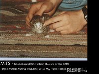 MITS04.GIF