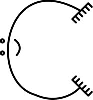 TNT00681.WMF