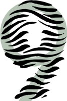 CCM00074.WMF