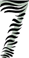 CCM00072.WMF