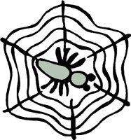 CCM00416.WMF