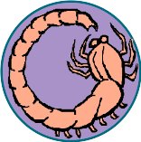 ZODIC126.WMF
