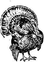 WMG033L.JPG