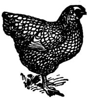 SIT086C.JPG