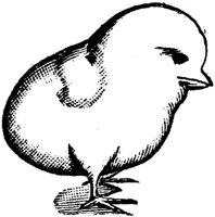 SIT083E.JPG