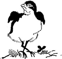 SIT077H.JPG