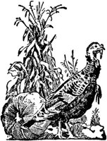 SIT056C.JPG