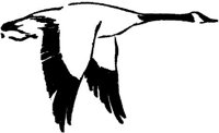 LAC007A.JPG