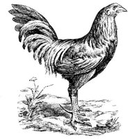 EAC023P.JPG