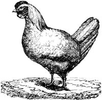 EAC023O.JPG