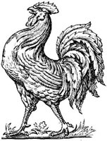 EAC023J.JPG