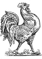 EAC023I.JPG
