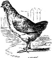 EAC023B.JPG