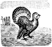 EAC022P.JPG