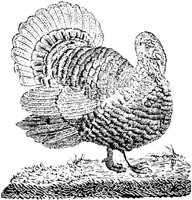 EAC022I.JPG