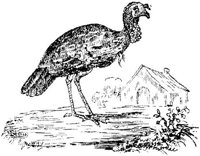EAC022F.JPG