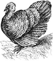 EAC022D.JPG