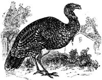 EAC022B.JPG