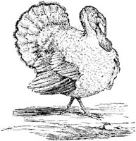 EAC022A.JPG