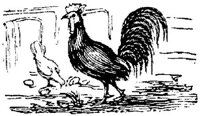 EAC021O.JPG