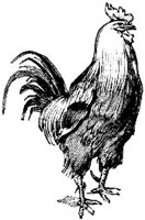 EAC021BB.JPG