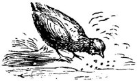 EAC021AA.JPG