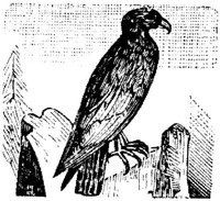 EAC028G.JPG