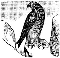 EAC028B.JPG