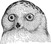 AMB108A.JPG