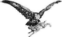 AMB106A.JPG