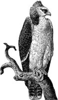 AMB105A.JPG