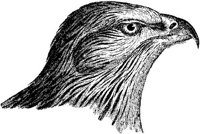 AMB101D.JPG