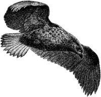AMB099A.JPG