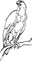AEA057B.JPG